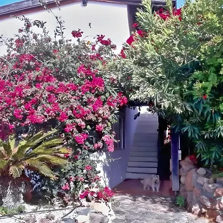 Casa Azul *