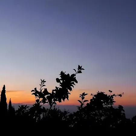 Casa Azul *